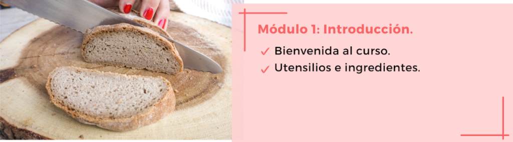 Módulo 1 del temario del curso de Lucia Gómez de Método Sano de Cocinando el cambio