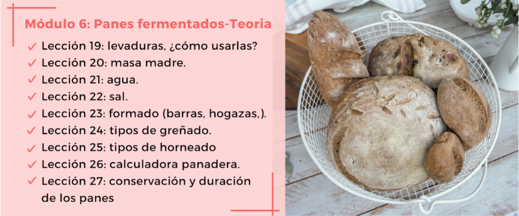 Módulo 6 panes fermentados-teoría 