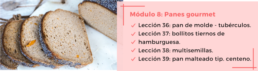 Módulo 8 panes gourmet de Lucia Gómez